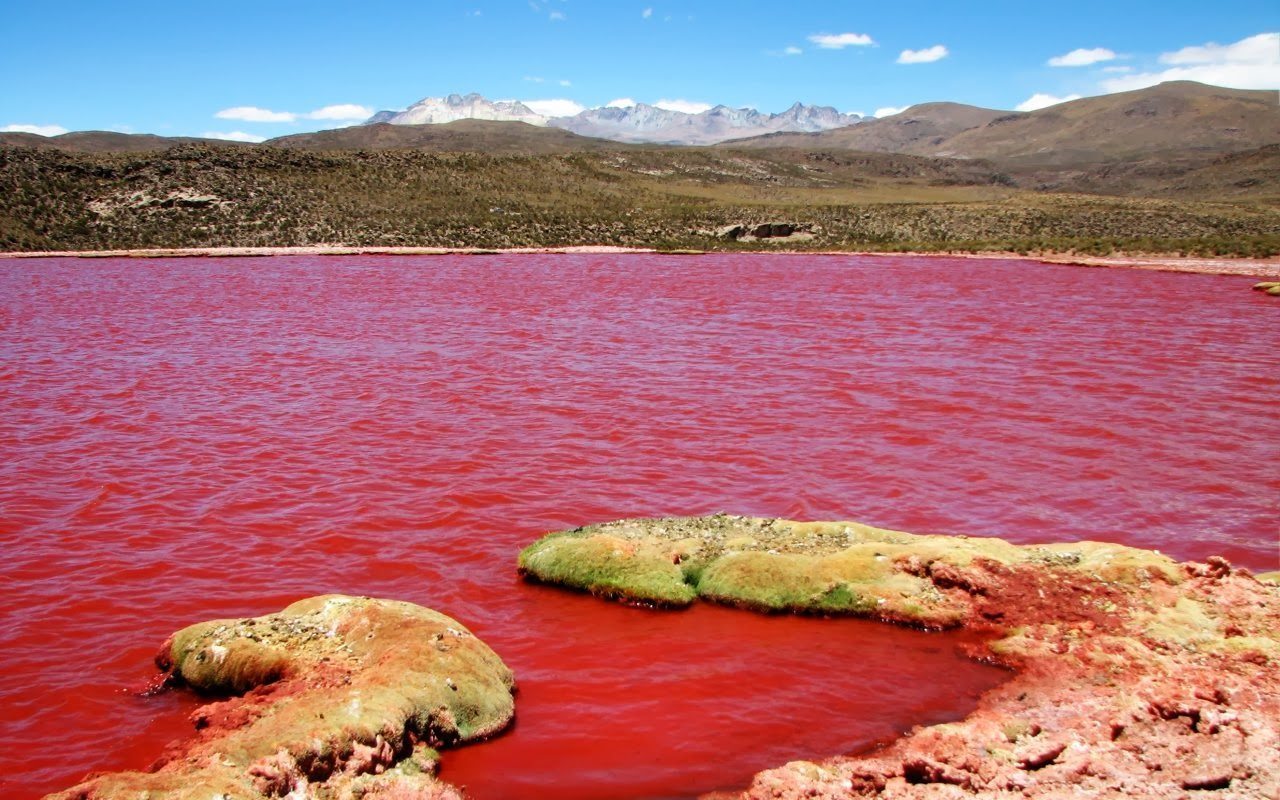 Lake colour. Озеро Натрон в Танзании. Красная Лагуна в Чили.