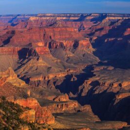 Northern Arizona